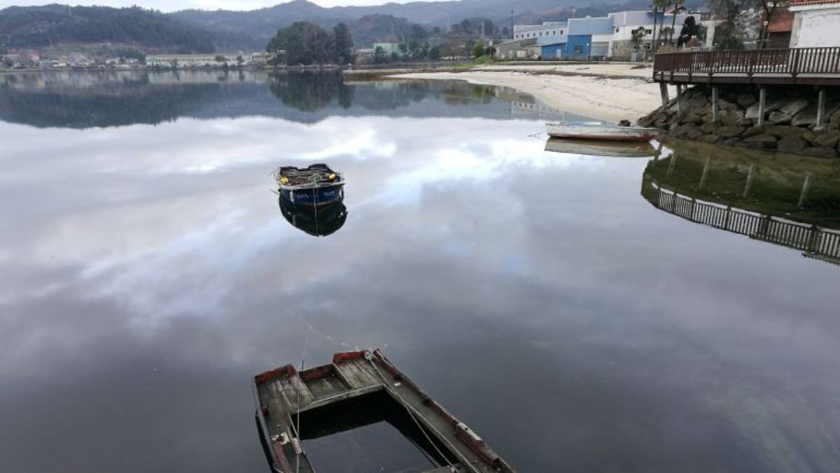 El viaje de la ceniza a la ría