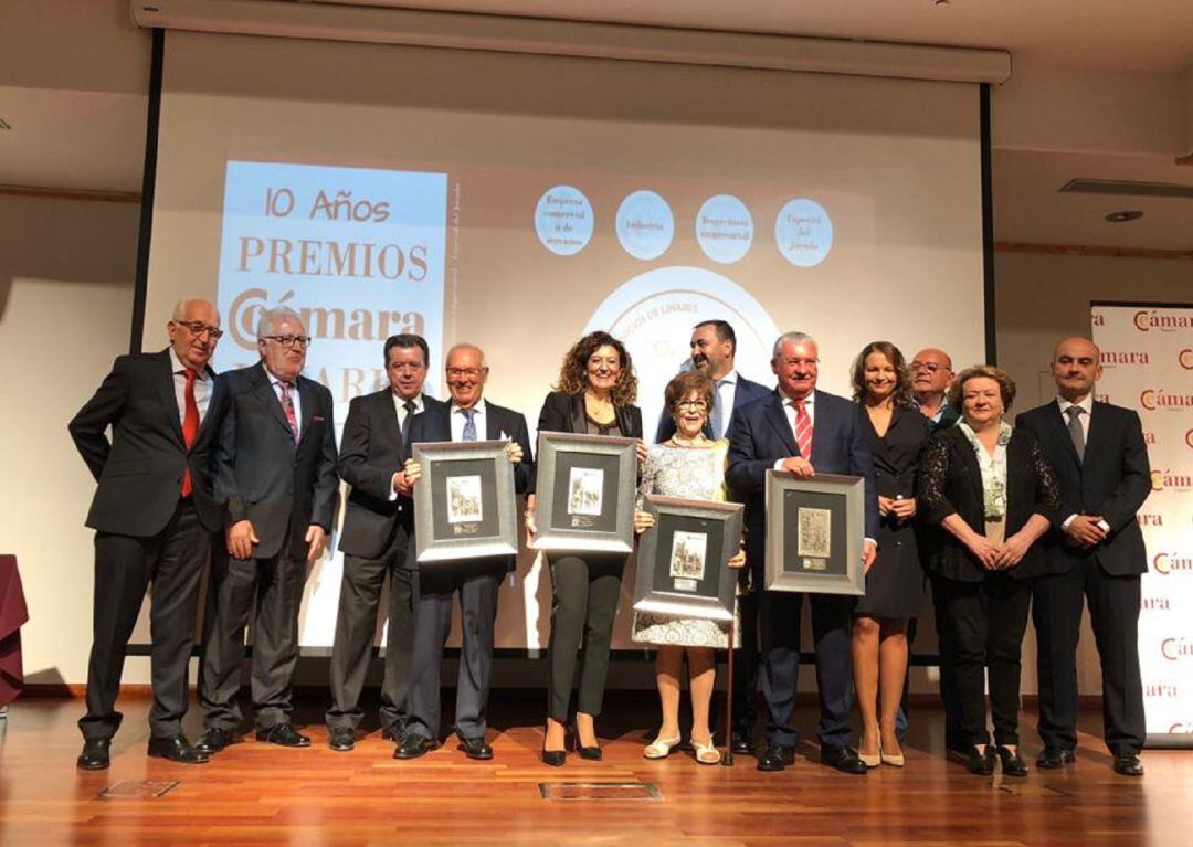 Premios Cámara 2018.