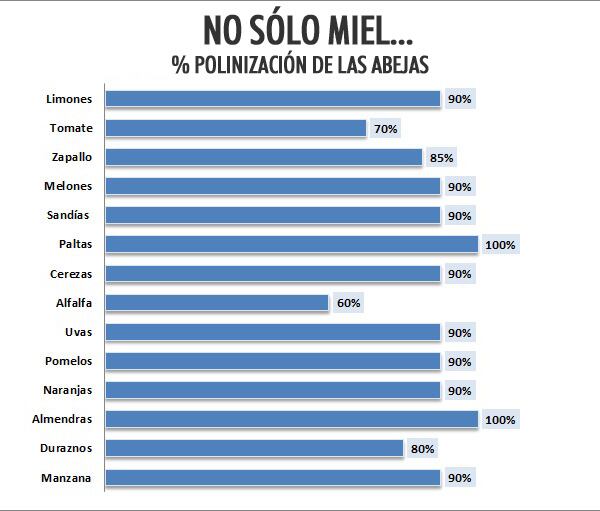 Gráfico ONG PLANBEE