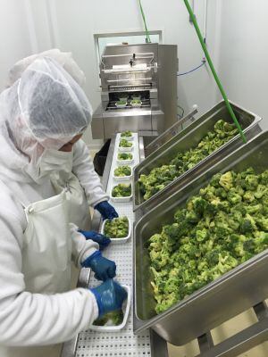 Preparacion de un primer plato en la cocina de Ucalsa