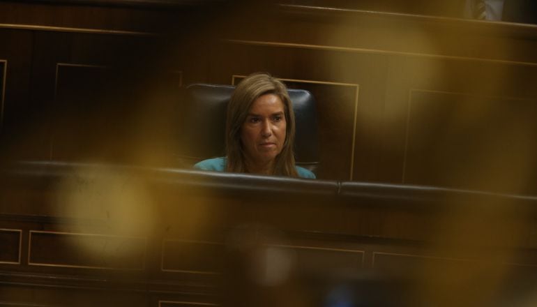 La exministra de Sanidad, Ana Mato.