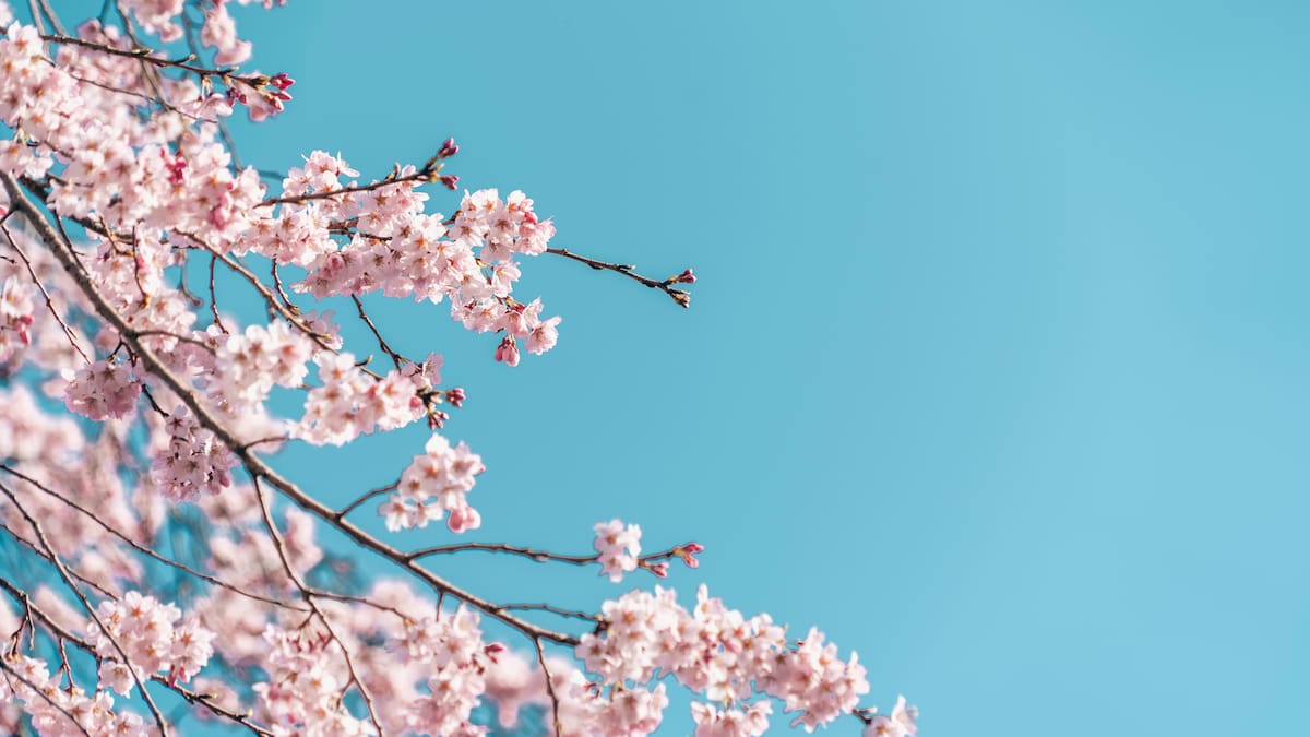 Meteorología Leonesa: La primavera devuelve el sol y el azul al cielo de León (24/03/2026)