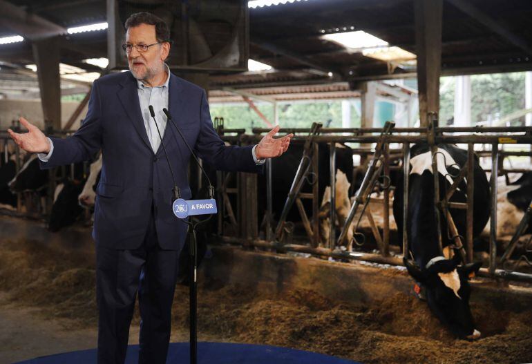 El presidente del Gobierno en funciones, Mariano Rajoy, durante la visita que realizó hoy a una explotación familiar de la localidad asturiana de San Martín de Podes