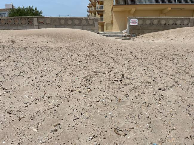 Trozos y astillas de cañas asoman entre la arena de una de las playas de València afectadas por la DANA.