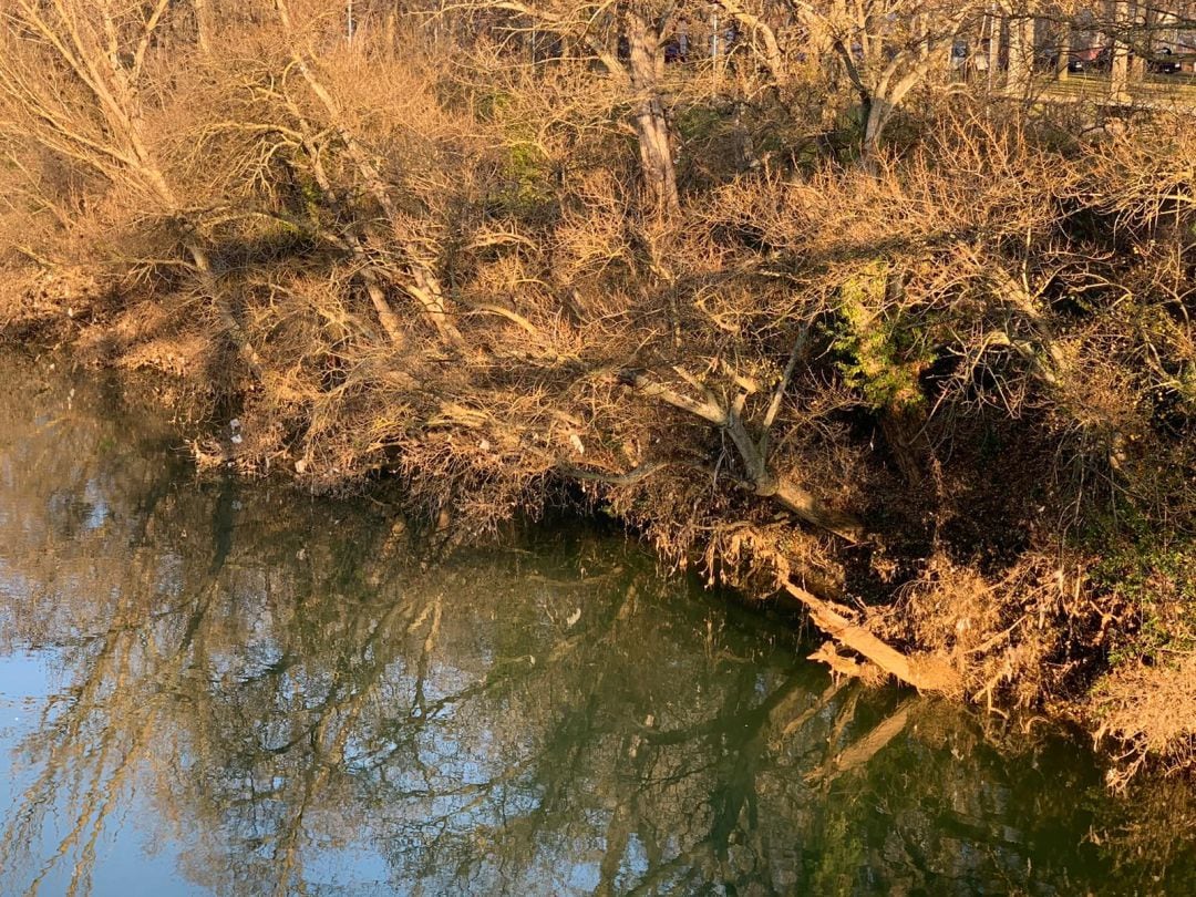 Restos de plásticos en la orilla del Pisuerga vistos desde el Puente Colgante