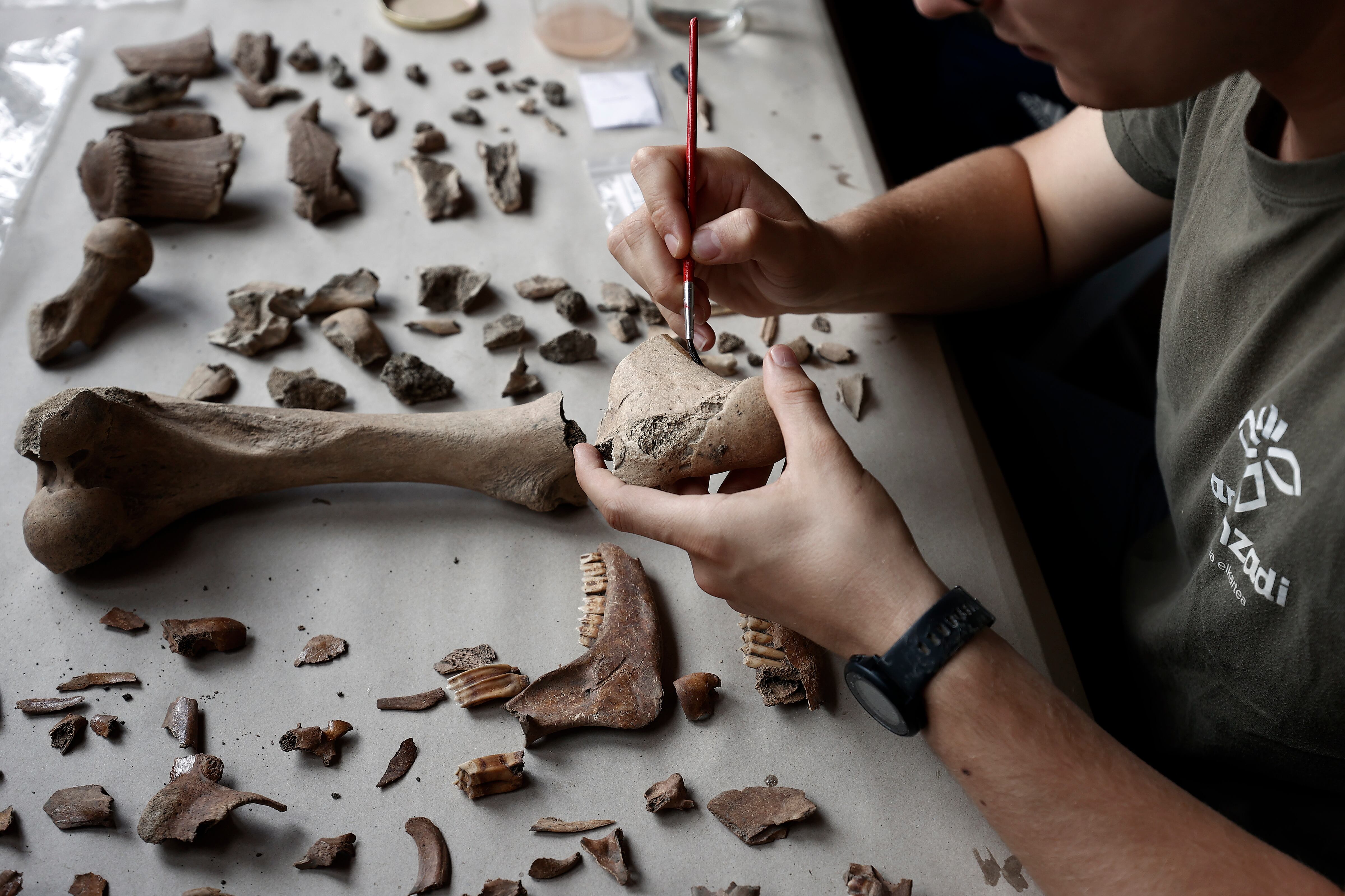 Un arqueólogo de la Sociedad de Ciencias Aranzadi marca alguno de los restos encontrados en las excavaciones del yacimiento de Irulegui, donde se encontró una mano de bronce con la inscripción más antigua en lengua vascónica. EFE/ Jesús Diges