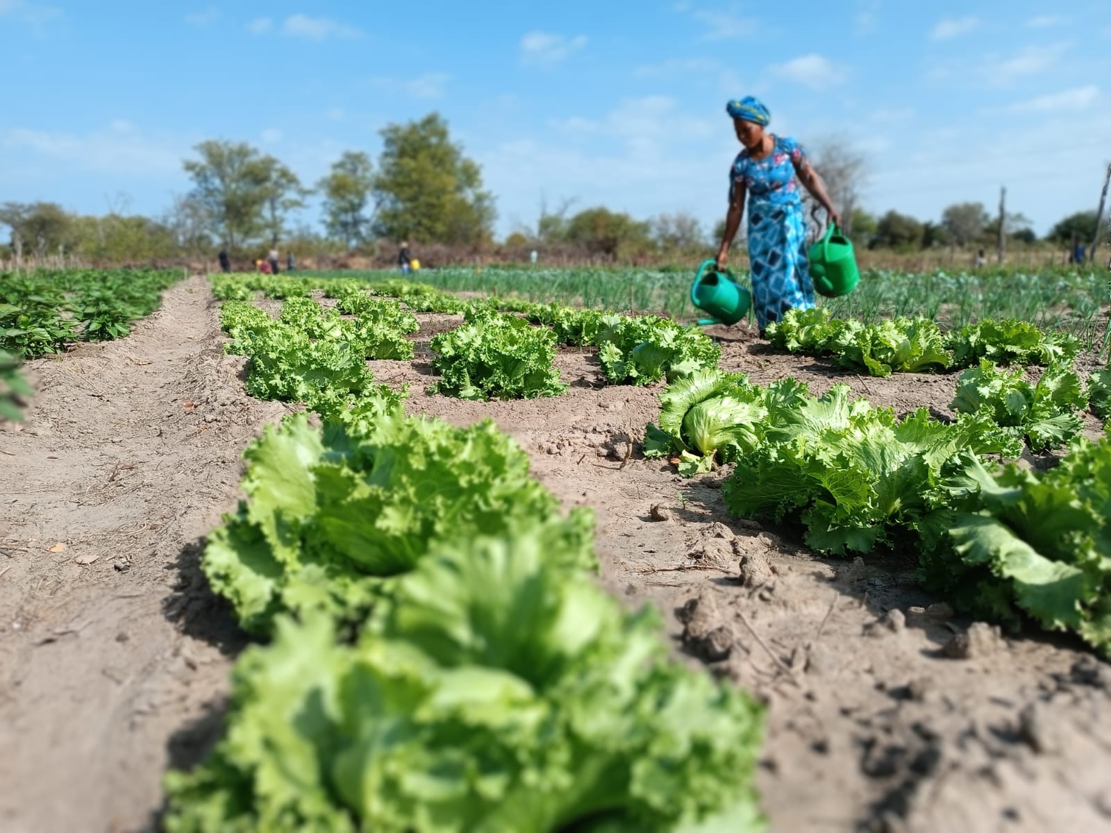 Madre Coraje mantiene sus proyectos humanitarios en Perú, Mozambique y España