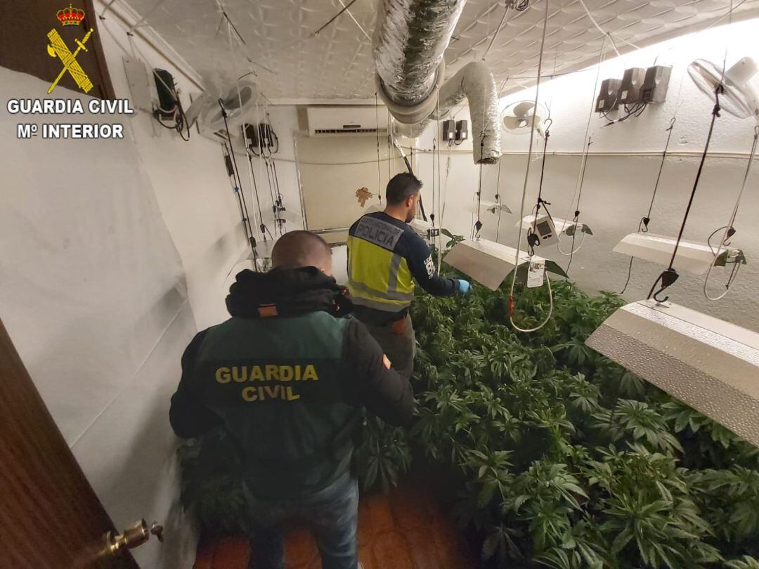 La instalación mantenía un elevado consumo de suministro eléctrico, lo que hizo sospechar de la posible existencia de invernaderos de marihuana ocultos. 