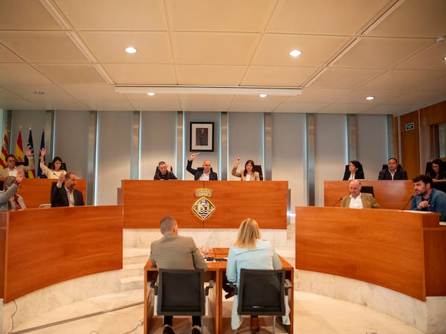 Imagen de la sesión plenaria