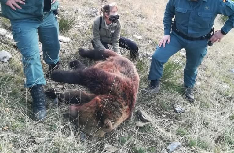 El Supremo ha inadmitido el recurso presentado por el cazador