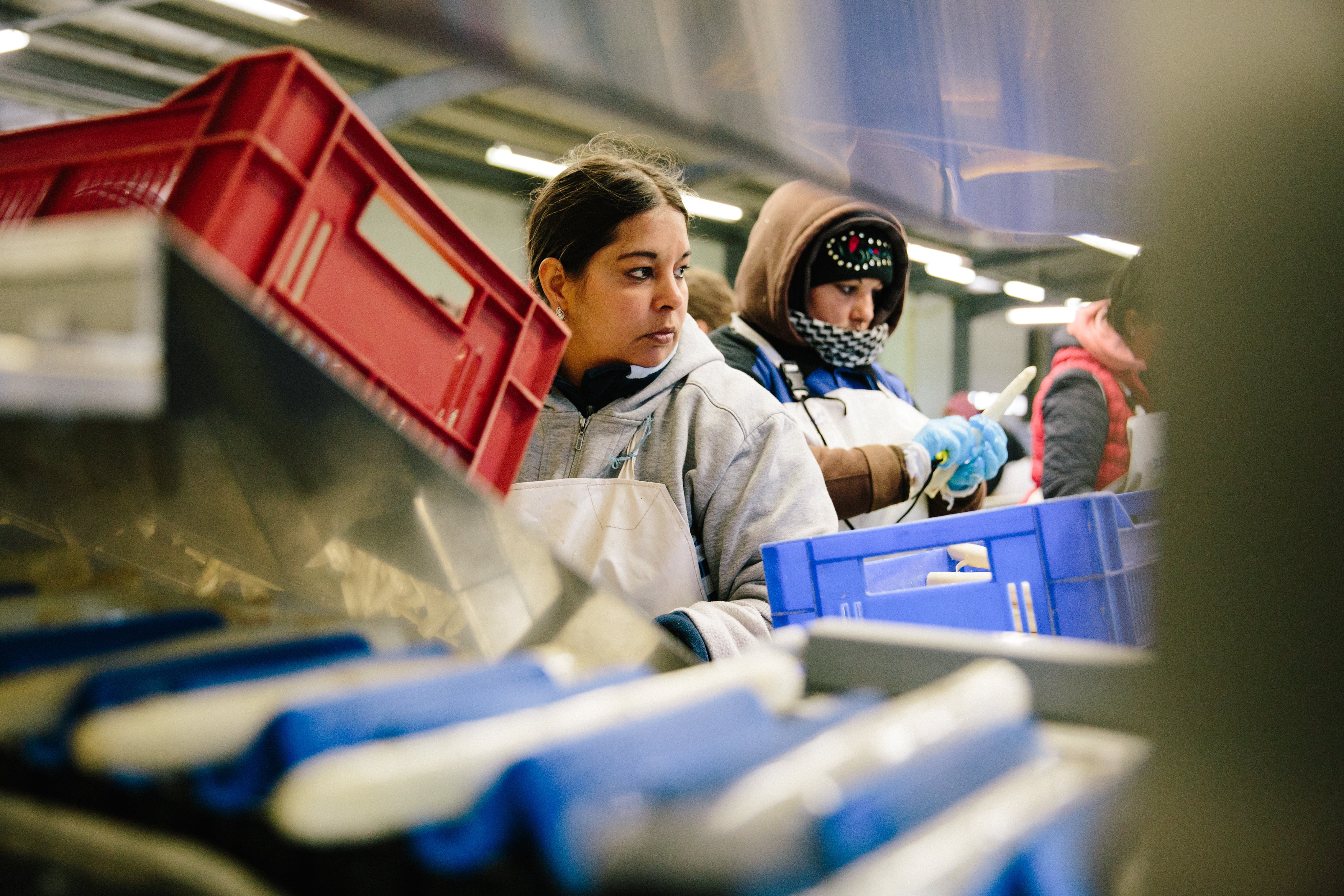 Trabajadoras en un almacén