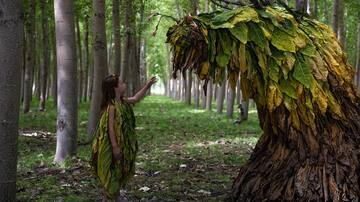 Así se ve la Vega de Granada en el 'trailer' de 'Secaderos', la película de Rocío Mesa que se estrena en San Sebastián