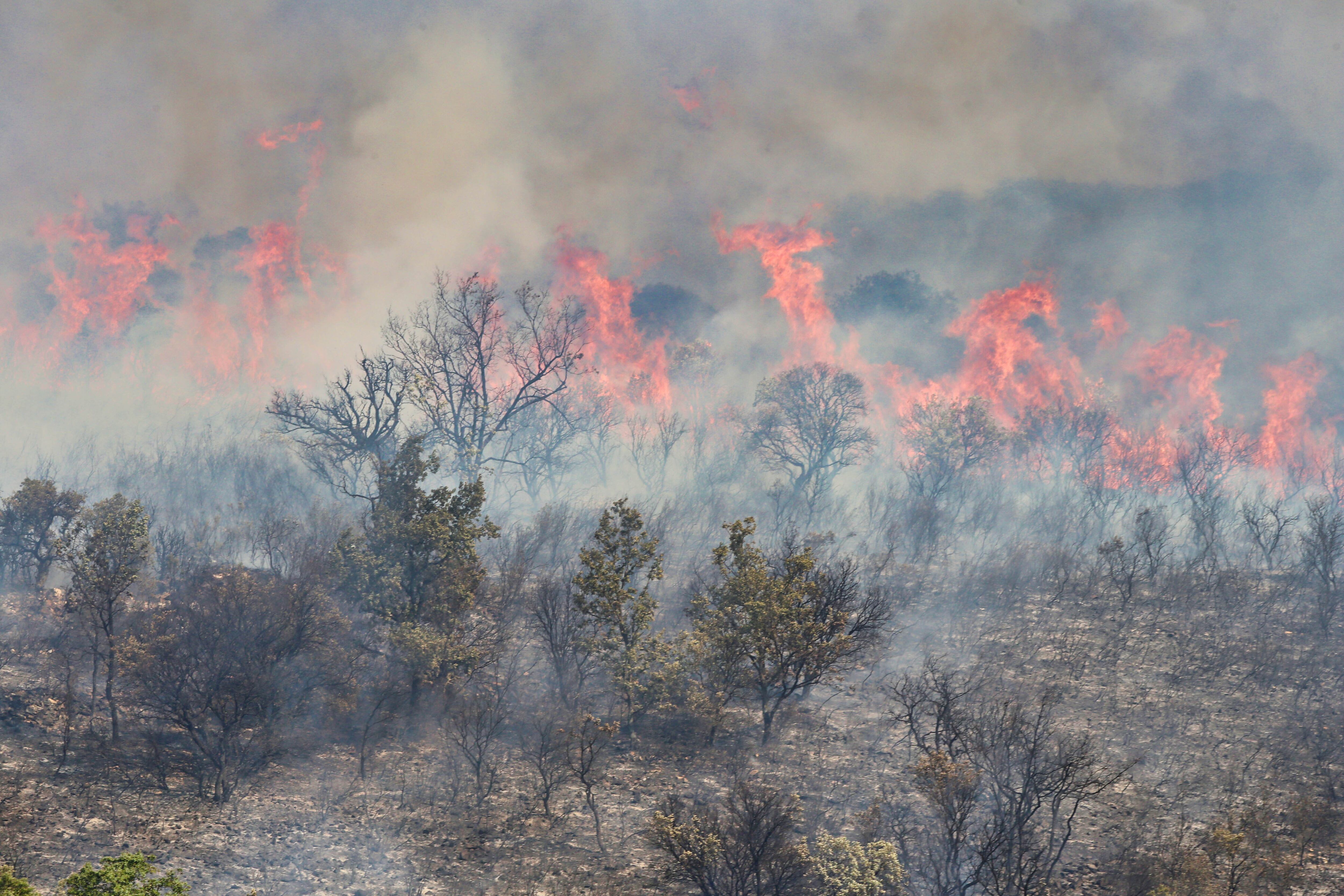 Incendio en la zona de Tabara