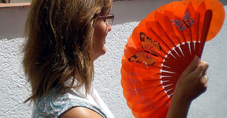 Las altas temperaturas presentan algunas infecciones peligrosas si no se tratan correctamente