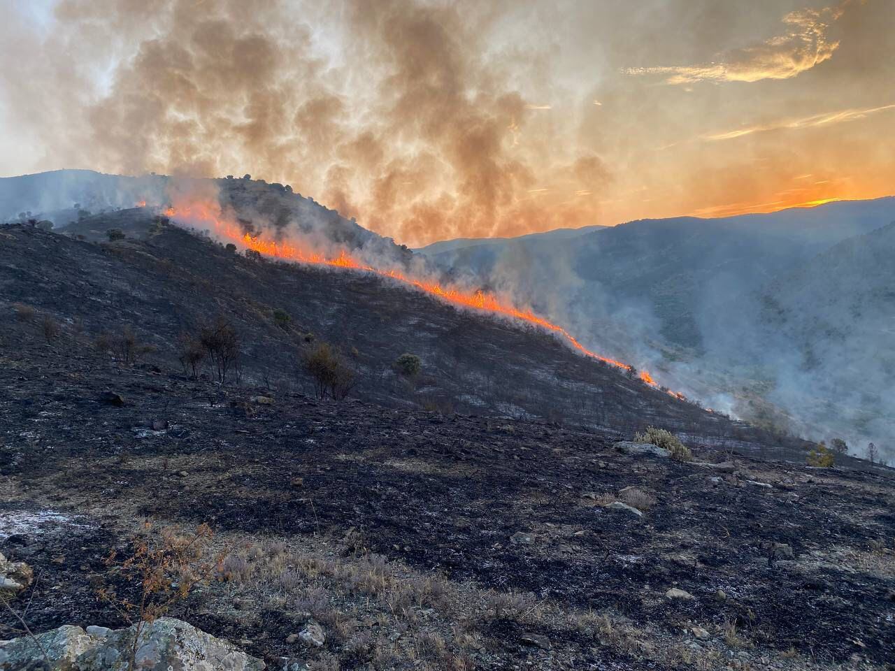 Incendio forestal en la aldea riojana de Valdeperillo