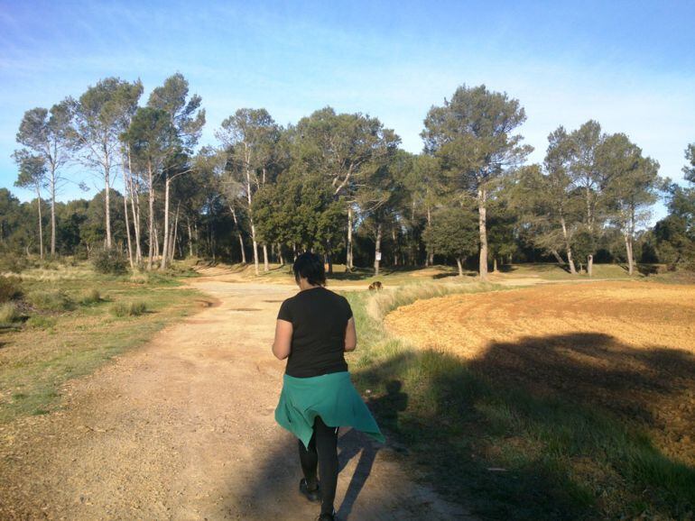 Un sender enmig de camps