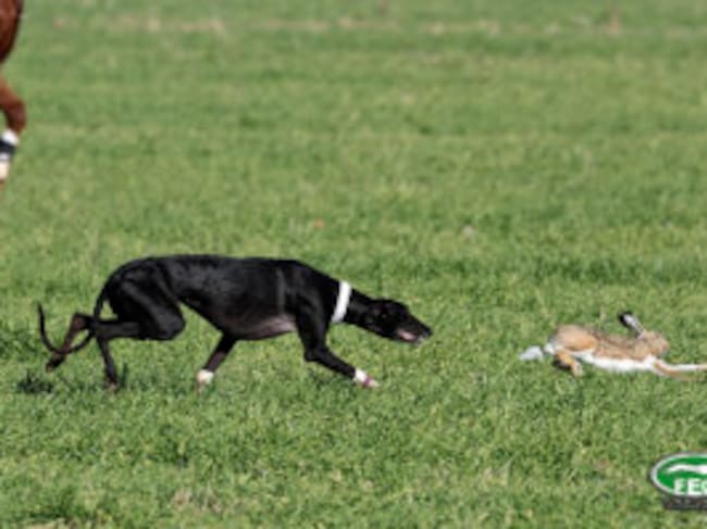 Morería de Suerte, en una de las carreras de la final