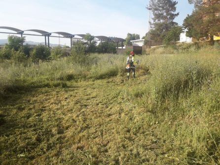 Limpieza de un solar en el sector 8.