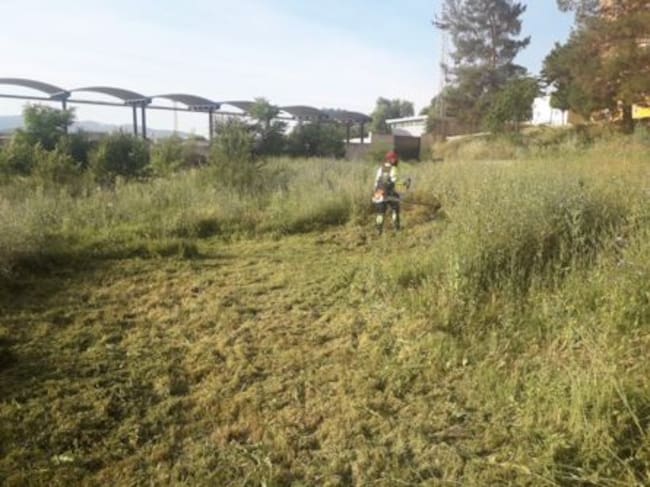 Limpieza de un solar en el sector 8.