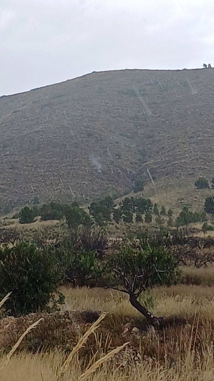Fotografía panorámica de la ubicación del conato de incendio forestal, facilitada por mando de la extinción de la Dirección General de Patrimonio Natural y Acción Climática.