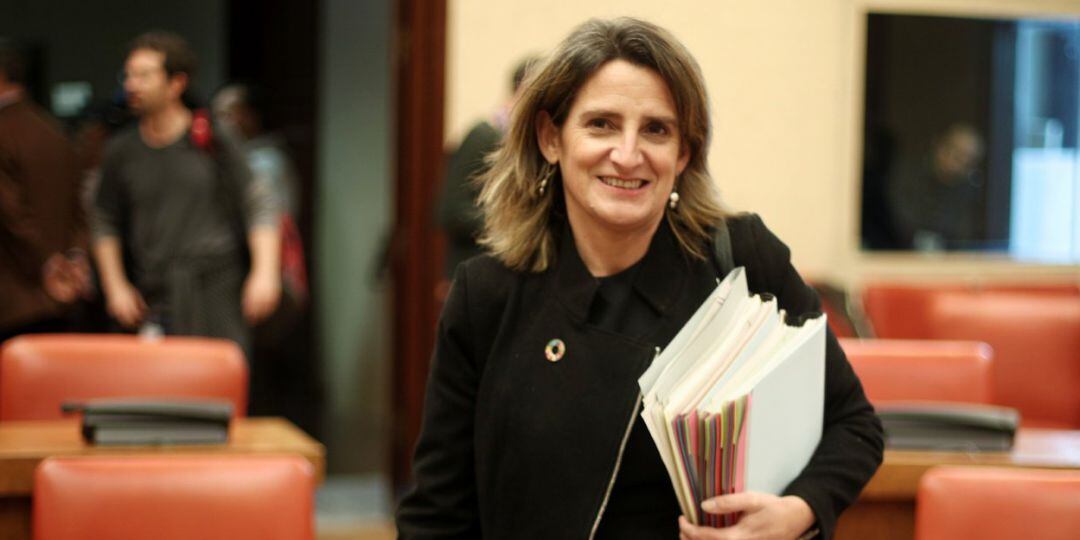 La vicepresidenta cuarta y ministra para la Transición Ecológica y el Reto Demográfico, Teresa Ribera, a su llegada a la Comisión de Transición Ecológica del Congreso