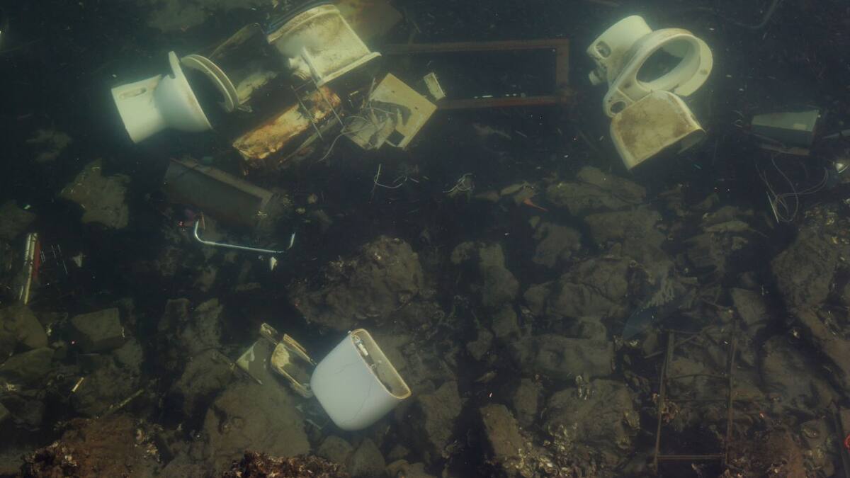 Garmendia: "Espero que la justicia actúe con contundencia por delito medioambiental"