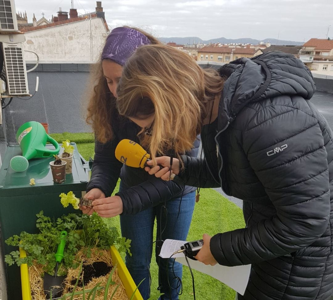 Amaia y Naiara plantando lechugas