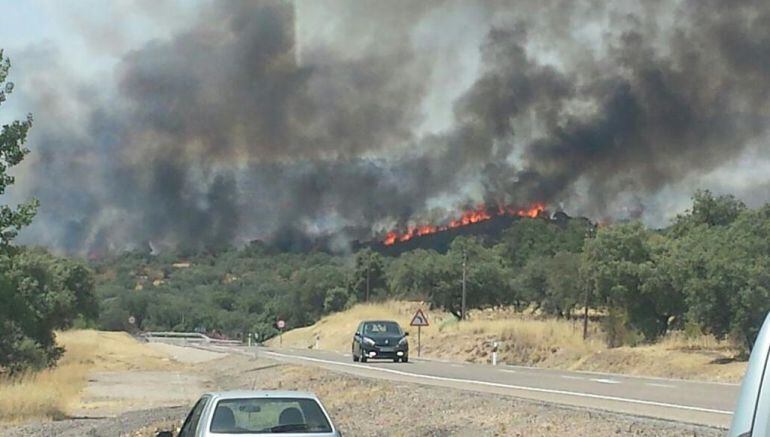 Un incendio quema desde las tres de la tarde de este domingo una zona de dehesa conocida como 'El Alisar', en el término municipal de El Garrobo, en Sevilla.
