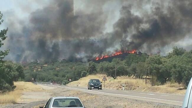 Un incendio quema desde las tres de la tarde de este domingo una zona de dehesa conocida como 'El Alisar', en el término municipal de El Garrobo, en Sevilla.