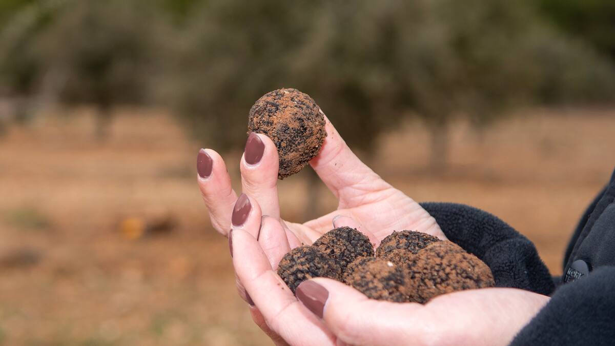 SER Viajeros Comunitat Valenciana (20/01/2024)