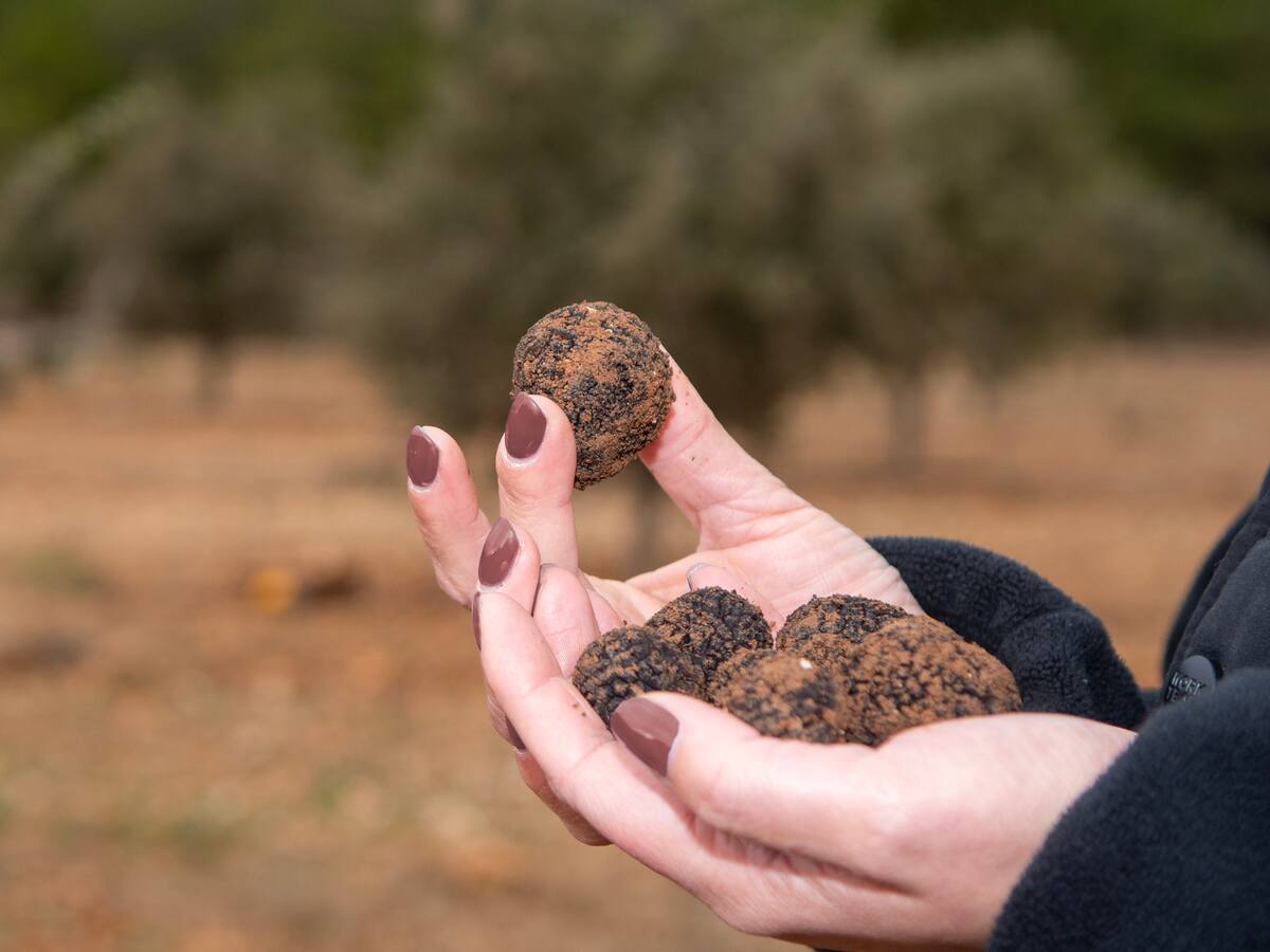 SER Viajeros Comunitat Valenciana (20/01/2024)