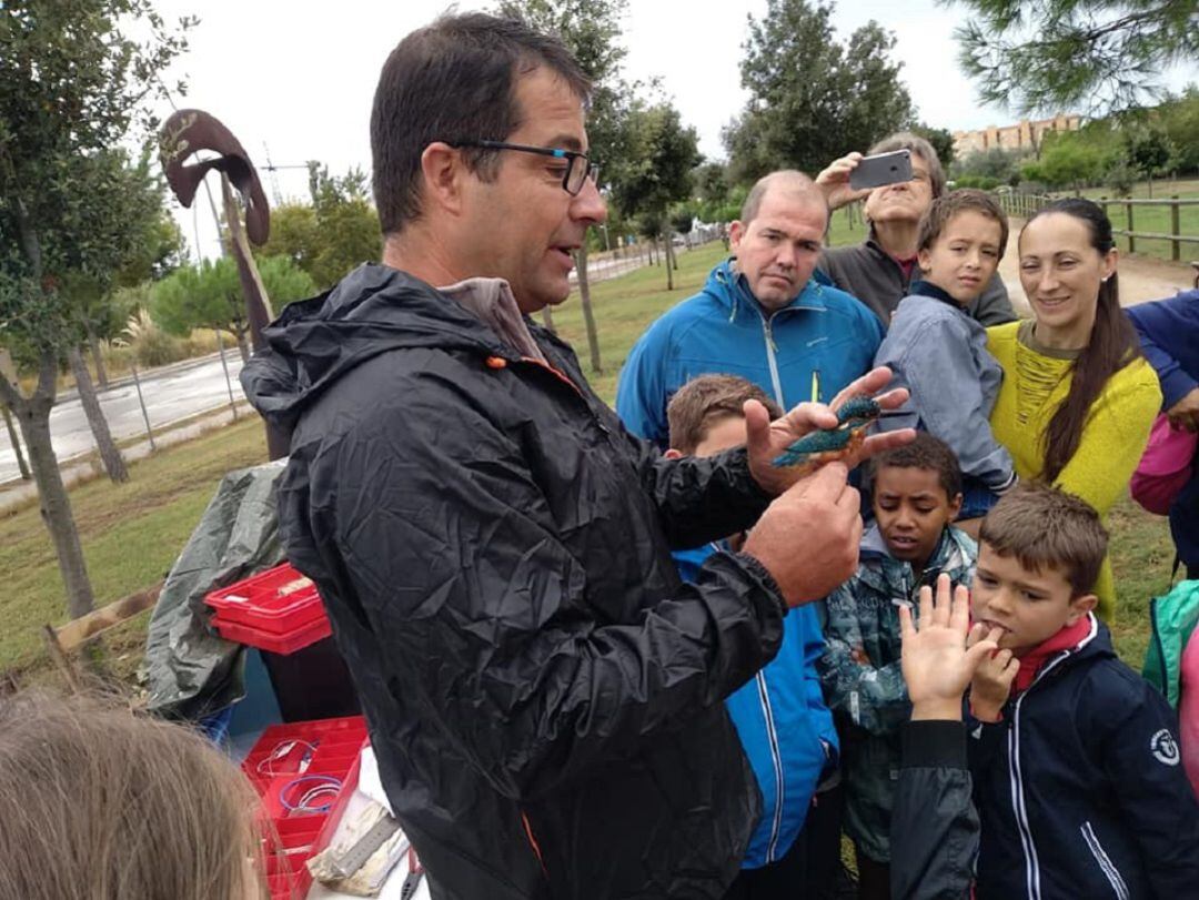 Una activitat d'ocells de Natura Stern