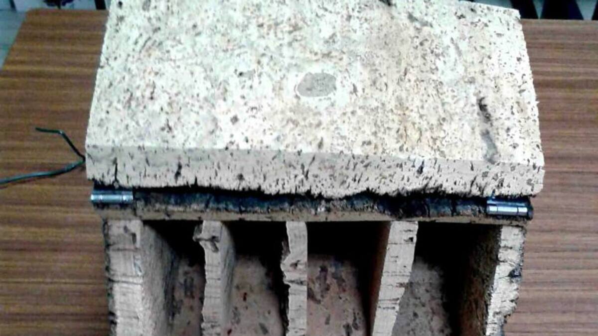 Preparan refugios para murciélagos en determinadas zonas de Talavera