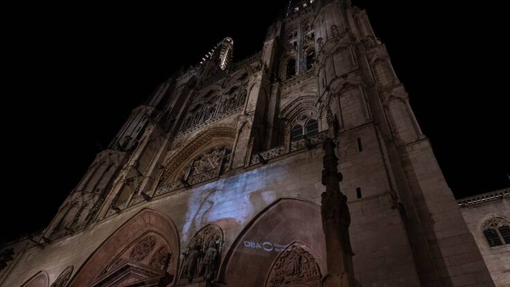 Cerdos sobre la Catedral