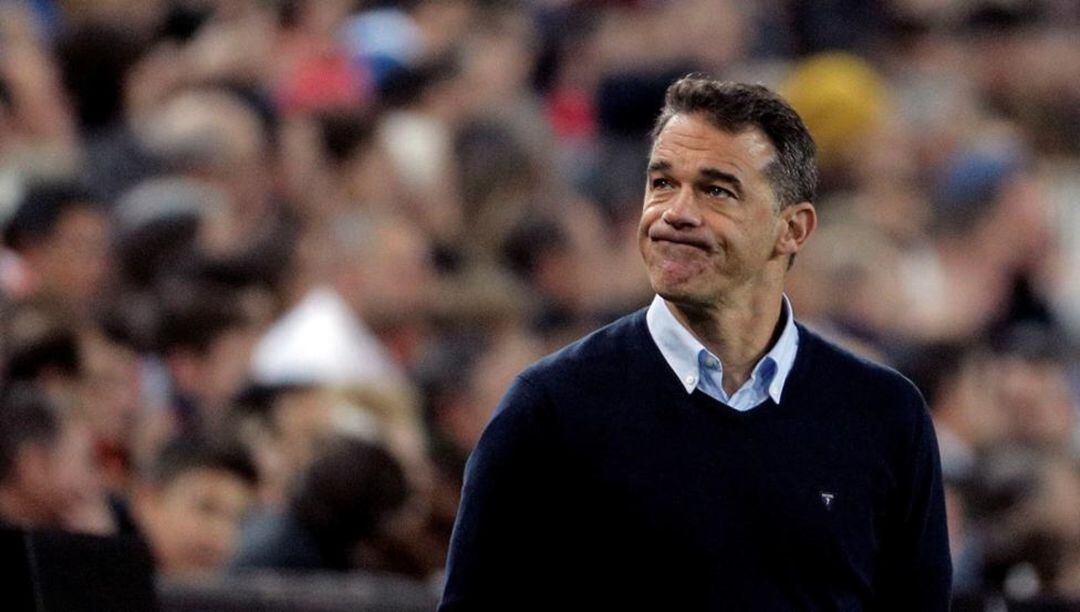 Luis García Plaza, entrenador del Real Mallorca.