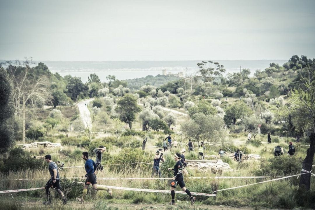 PRUEBAS SPARTAN RACE