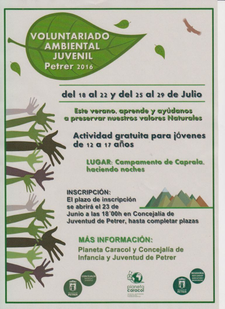 Cartel voluntariado ambiental juvenil