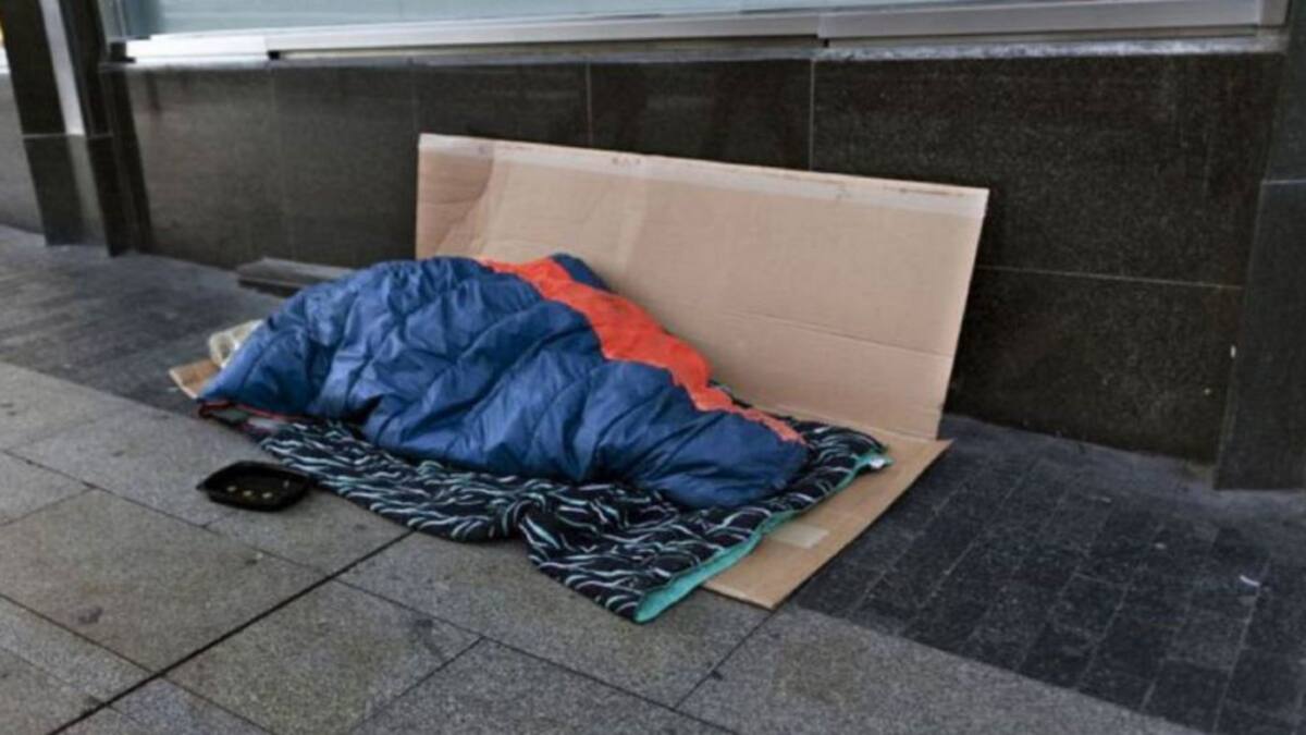 Entrevista Red Acogida