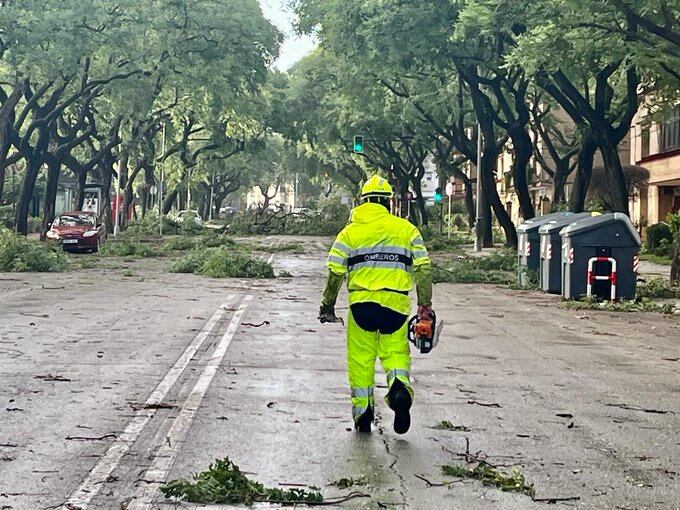 Un bombero retira ramas en una calle de Jerez