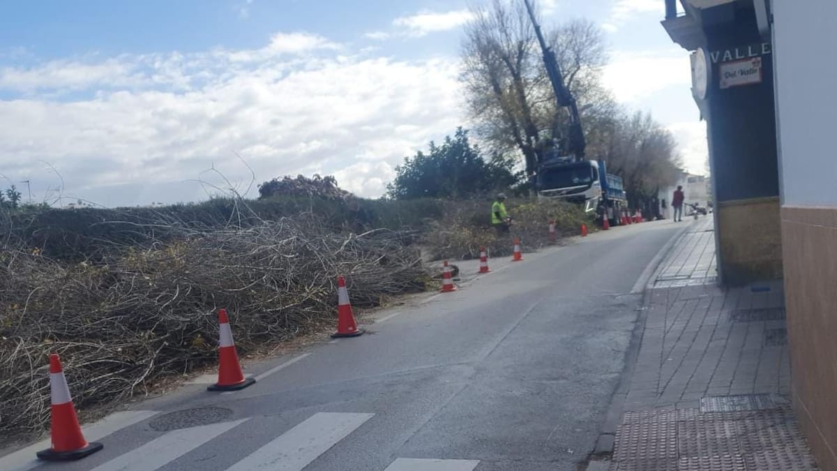Leschiera: "es un atentando contra el medioambiente"