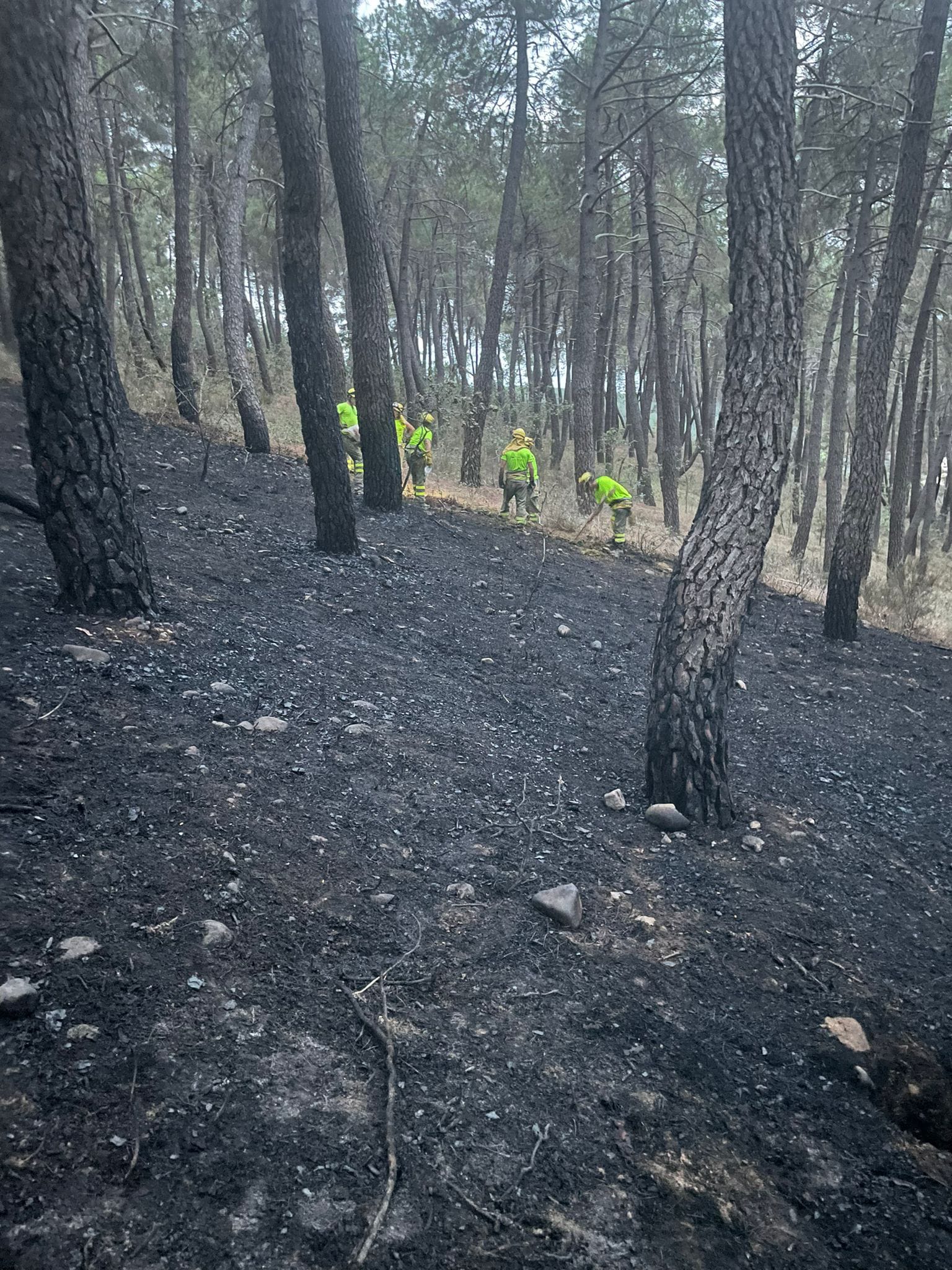 Incendio en Saldaña (Palencia)