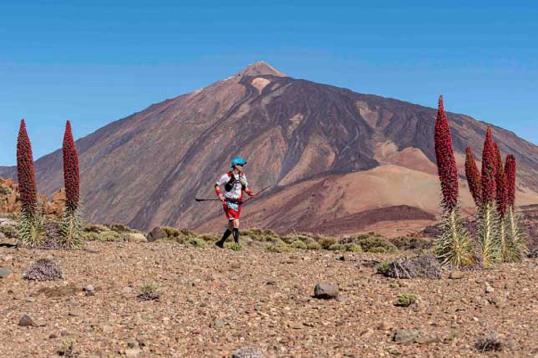 Tenerife Bluetrail