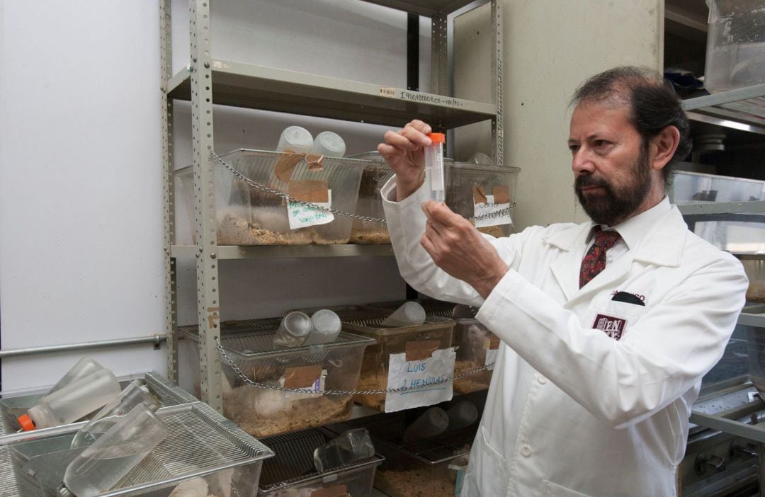 Un científico trabaja en un laboratorio. 