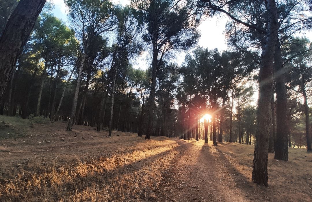 Monte cercano a la capital.