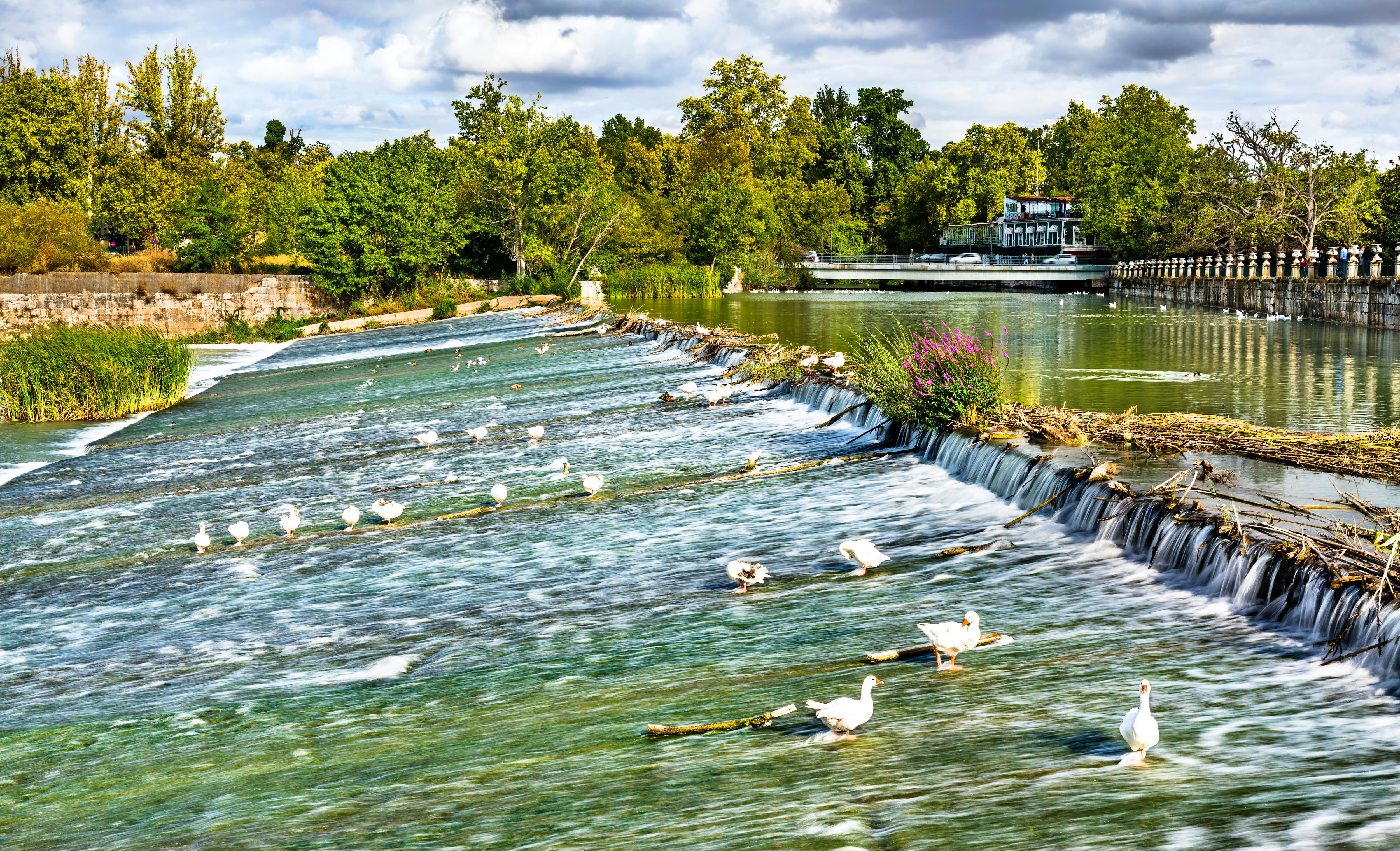 El río Tajo, a su paso por Aranjuez (Comunidad de Madrid), baña los jardines del Palacio Real