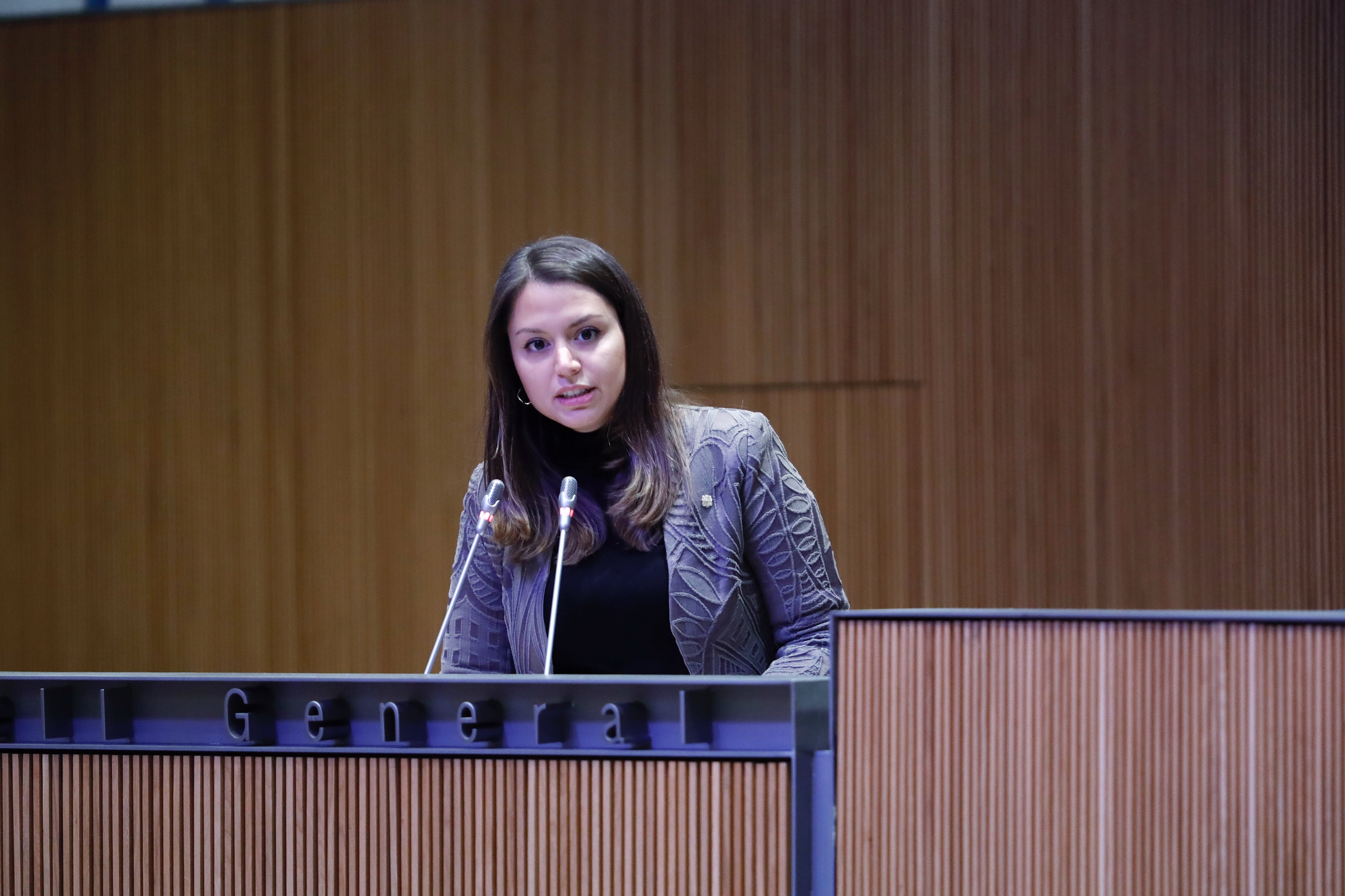 La consellera general, Meritxell López, ha defensat la posició dels grups de la majoria.