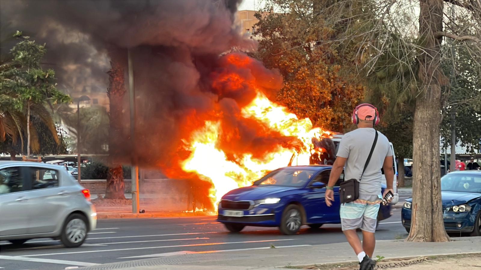 Arde un autobús en València, sin afectados, y el fuego se extiende a una palmera