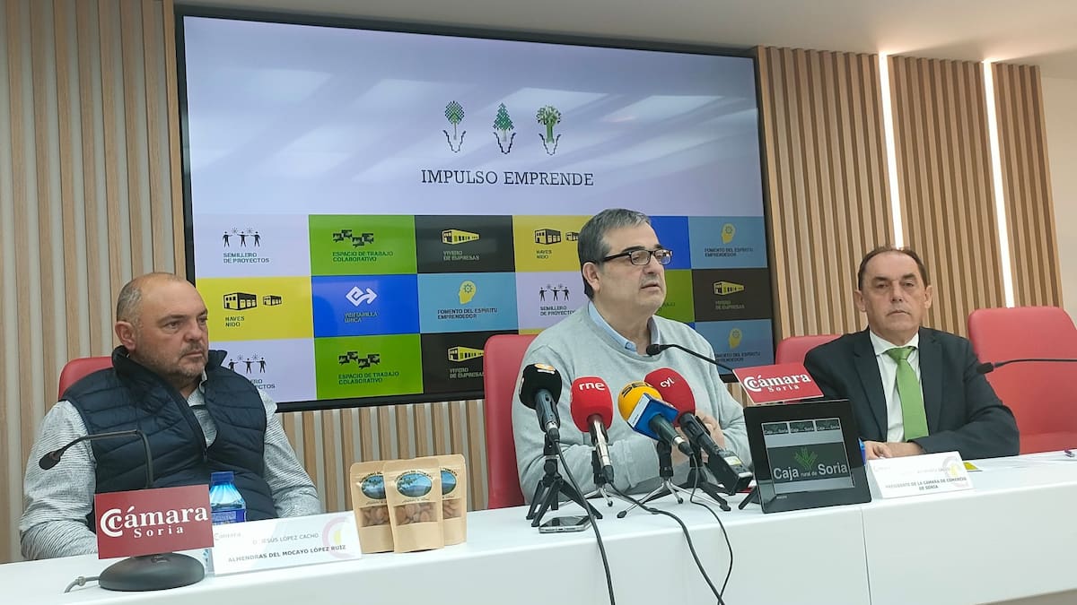 Alberto Santamaría (Pte. Cámara Comercio Soria) - Impulso Emprende favorece la creación de 19 empresas con 24 empleos en la provincia durante 2024