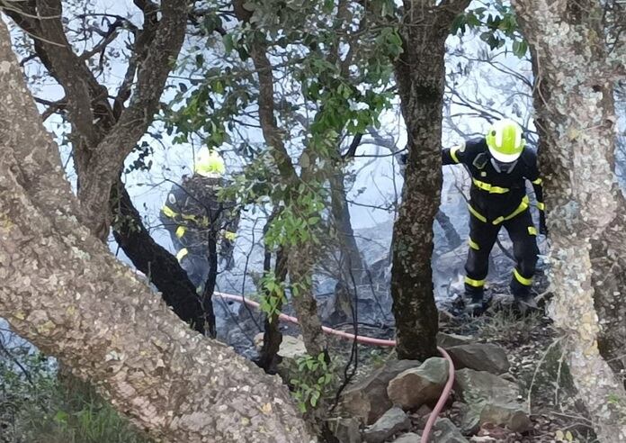 Un momento del suceso