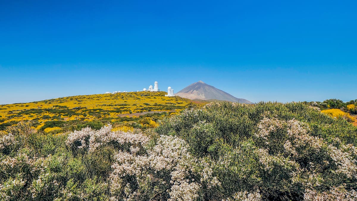 COMENTARIO CASTAÑEDA 24 ABRIL